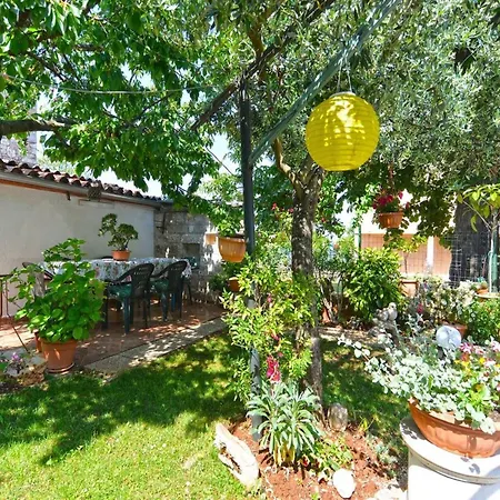 Apartment Welcoming With Garden