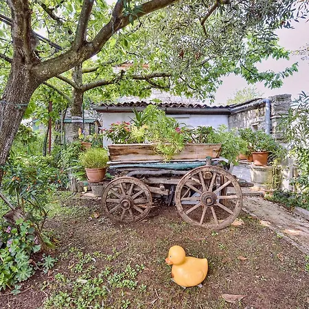 Welcoming With Garden Appartamento Porec